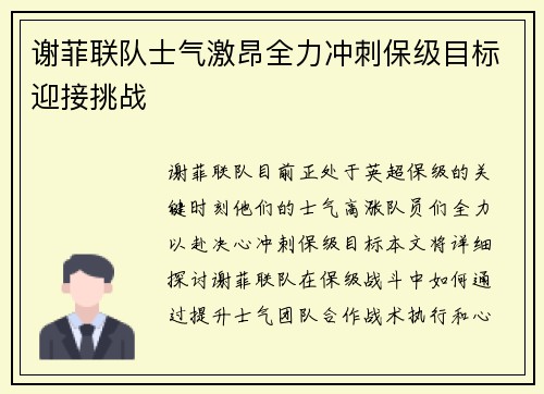 谢菲联队士气激昂全力冲刺保级目标迎接挑战