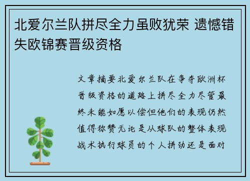 北爱尔兰队拼尽全力虽败犹荣 遗憾错失欧锦赛晋级资格