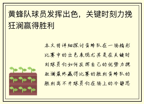 黄蜂队球员发挥出色，关键时刻力挽狂澜赢得胜利